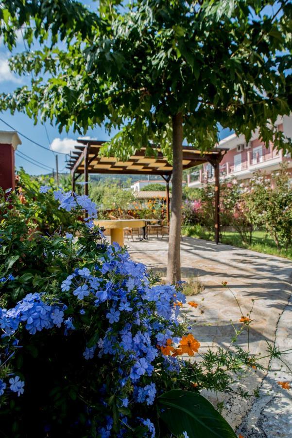 Aparthotel Dimas V House Parga Exteriér fotografie